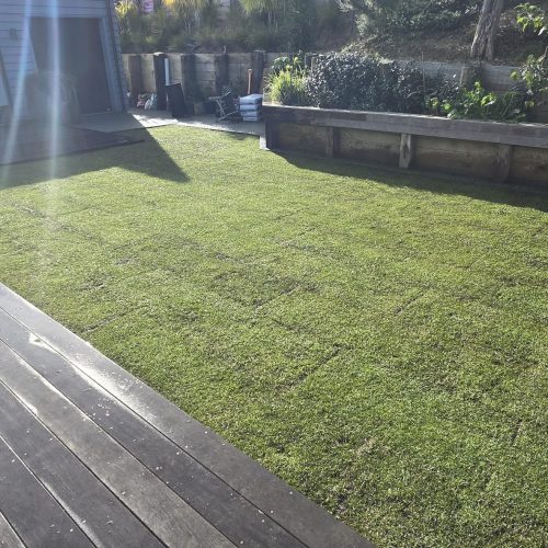 Lush New Lawn - After