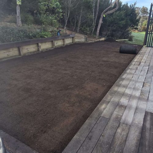 Bare Soil & Timber Wall - Before