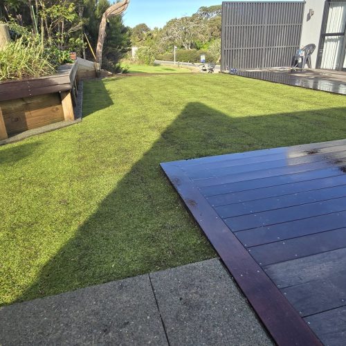 New Lawn Established - After