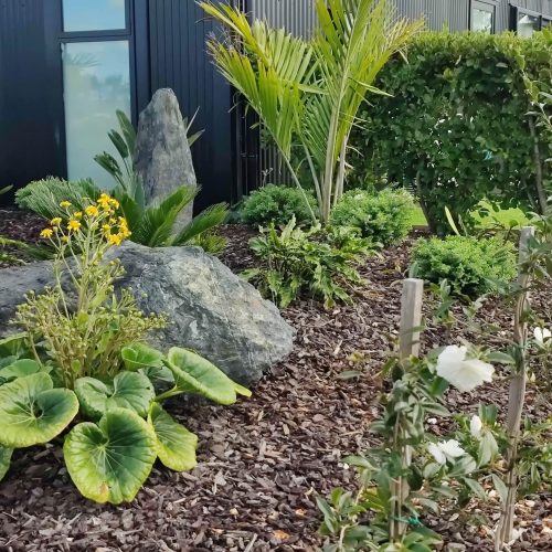 Landscaped Entrance Garden - After