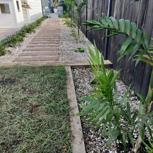 Palm-Lined Timber Walkway - After