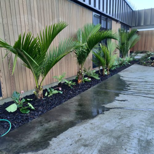 Defined Gravel Garden Edge - After