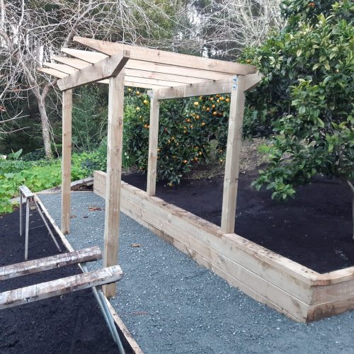 Raised Bed & Pergola - After
