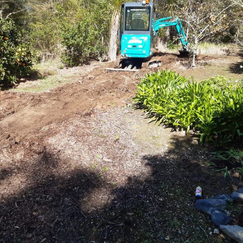 Cleared Orchard Ground - Before