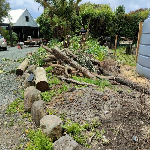 Cleared Branches & Debris - Before