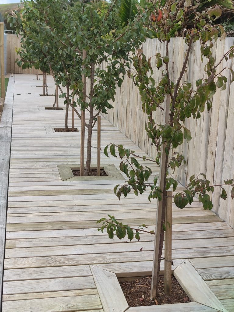 Timber deck and patio project