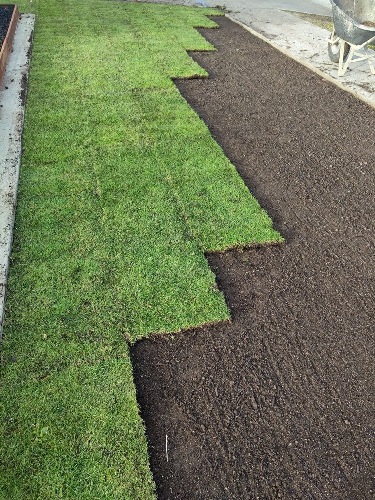 Lawn and turf project