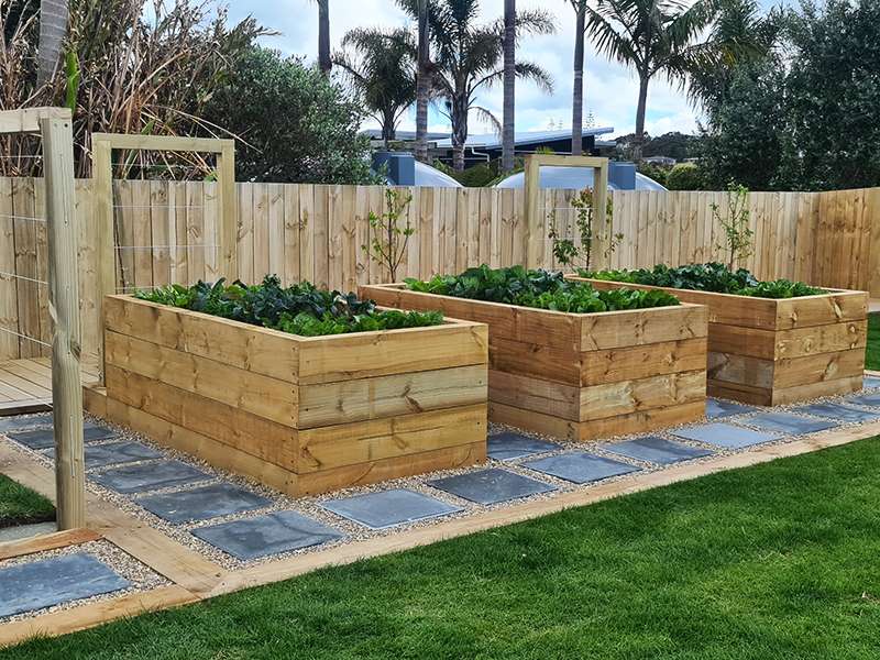 Planting and garden bed project