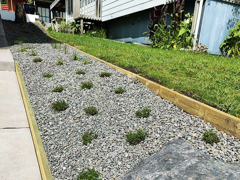 Planting and garden bed project