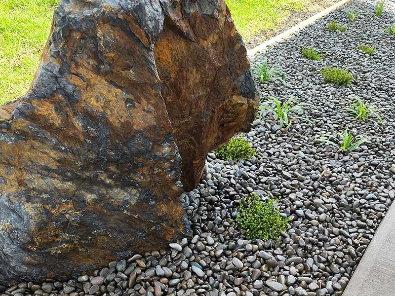 Planting and garden bed project