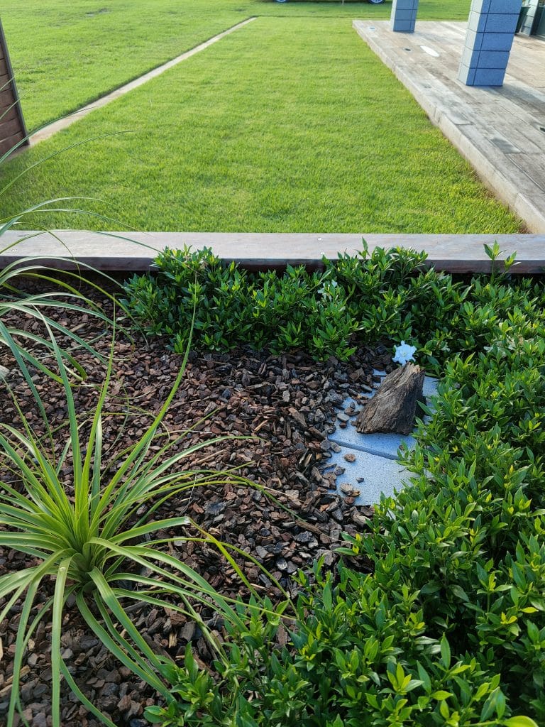 Planting and garden bed project