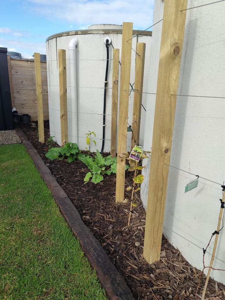 Planting and garden bed project