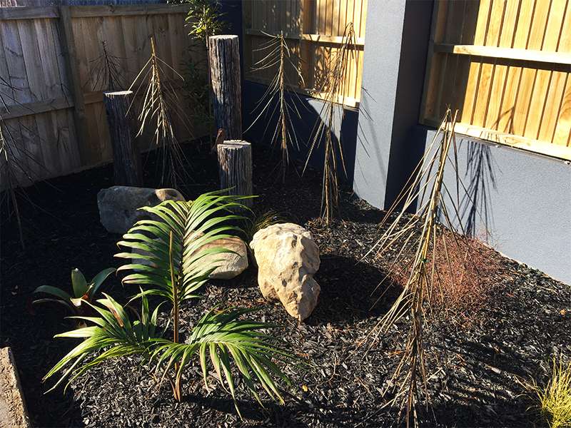 Planting and garden bed project