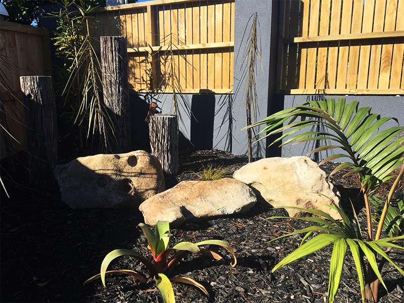 Planting and garden bed project