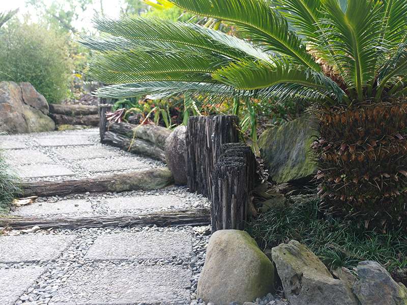 Planting and garden bed project