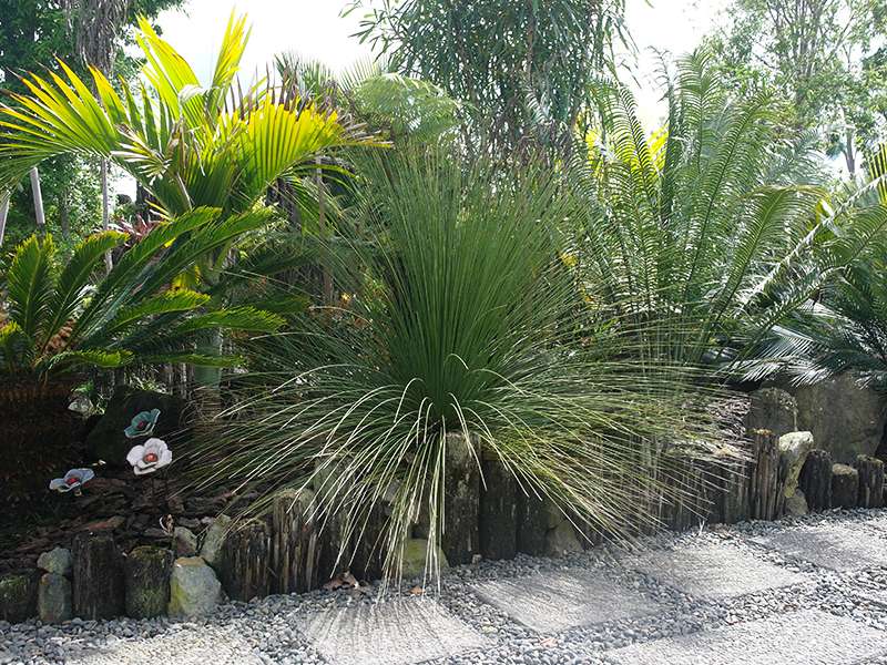 Planting and garden bed project