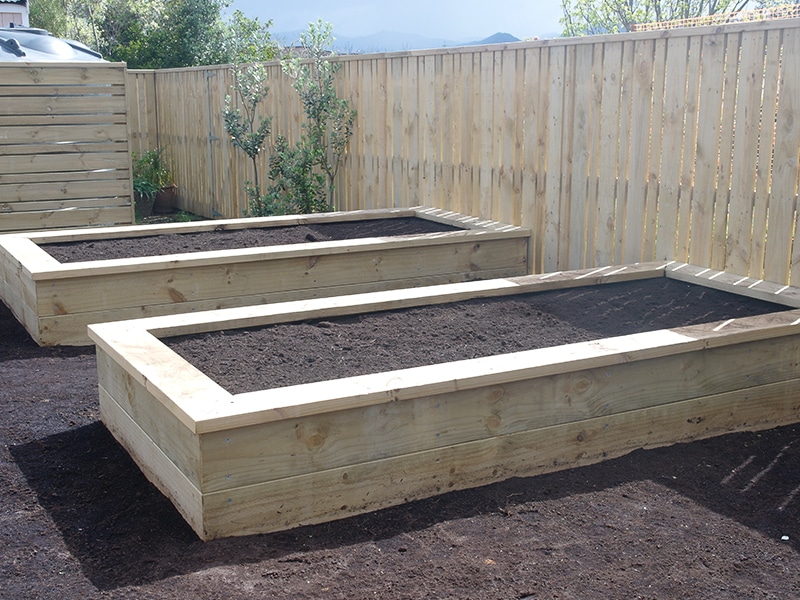 Planting and garden bed project